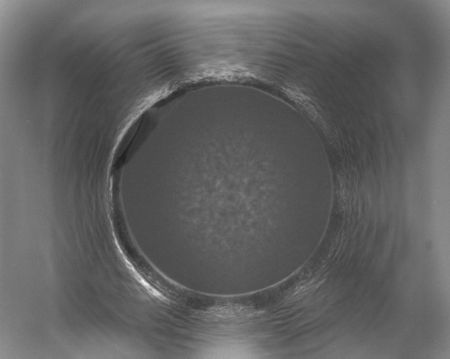 X0000056330630200509161710