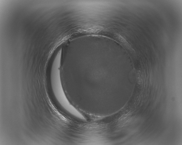 X0000056330634200509161710