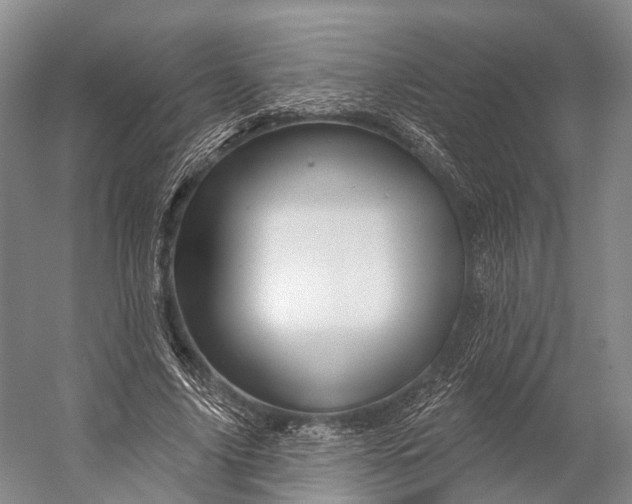 X0000056330635200509161710