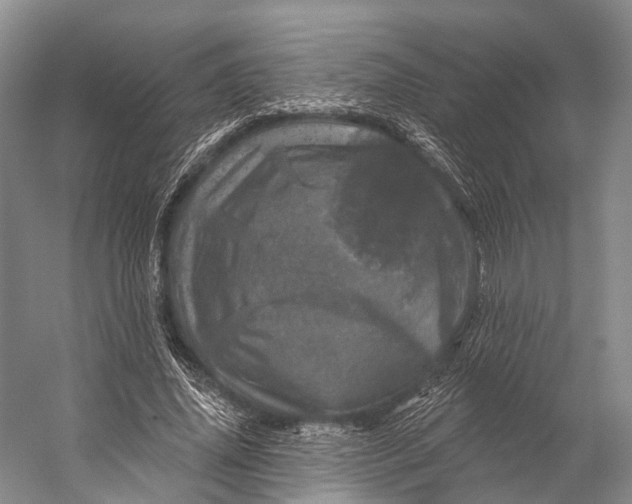 X0000056330636200509161710