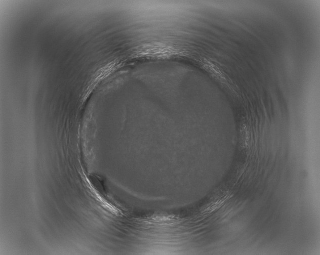 X0000056330638200509161710