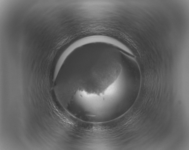 X0000056330641200509161710