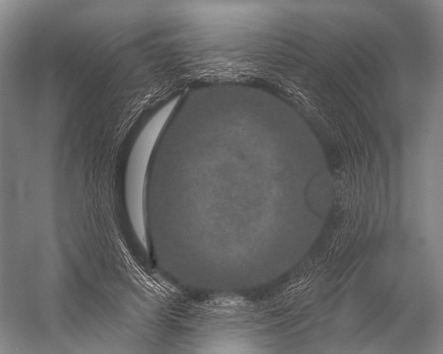 X0000056330642200509161710