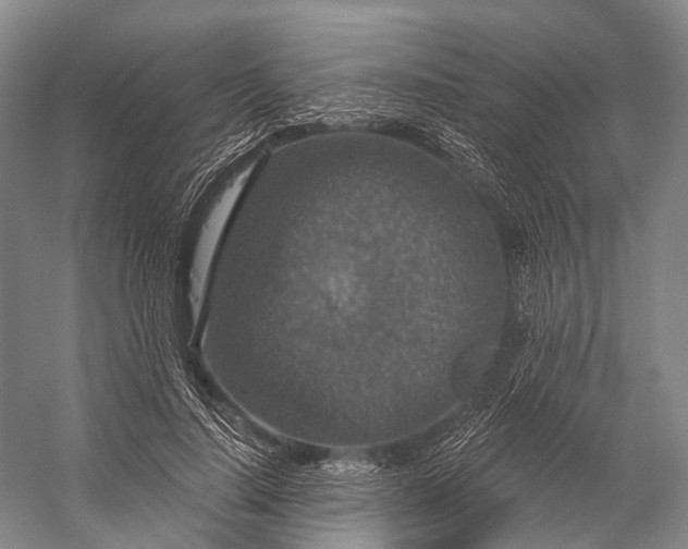 X0000056330644200509161710