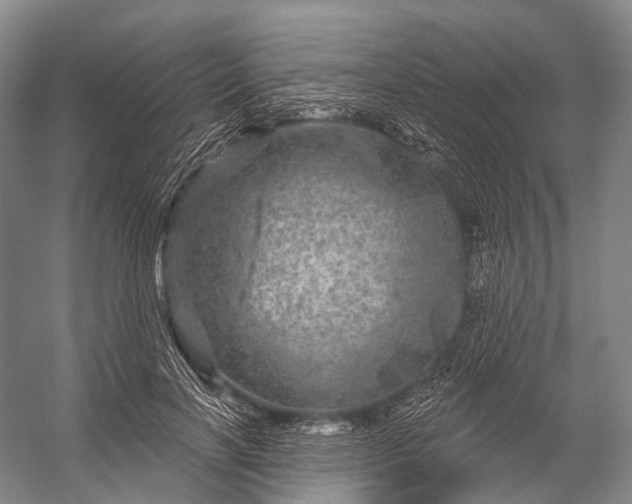 X0000056330646200509161710