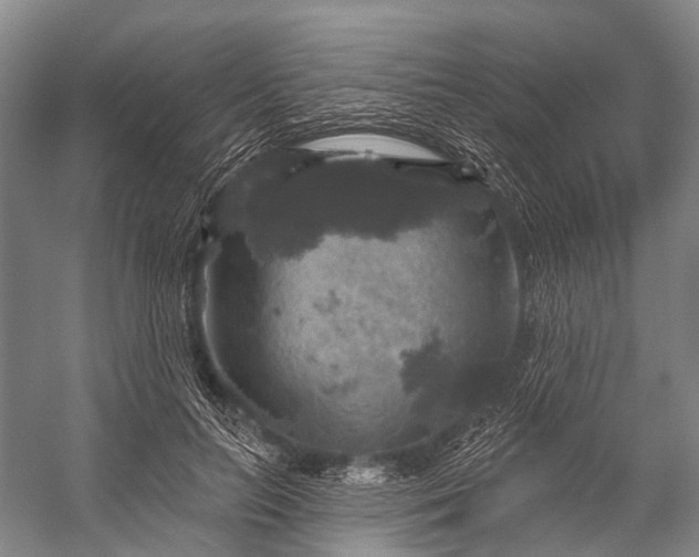 X0000056330647200509161710