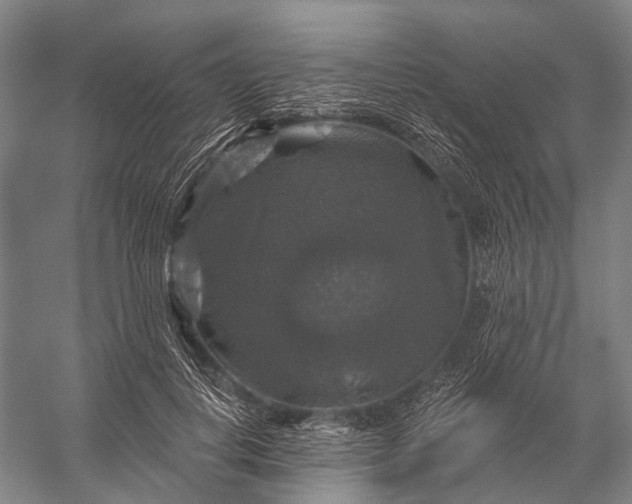 X0000056330648200509161710