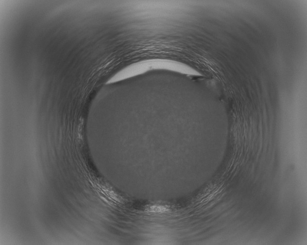 X0000056330649200509161710