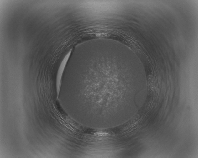 X0000056330650200509161710