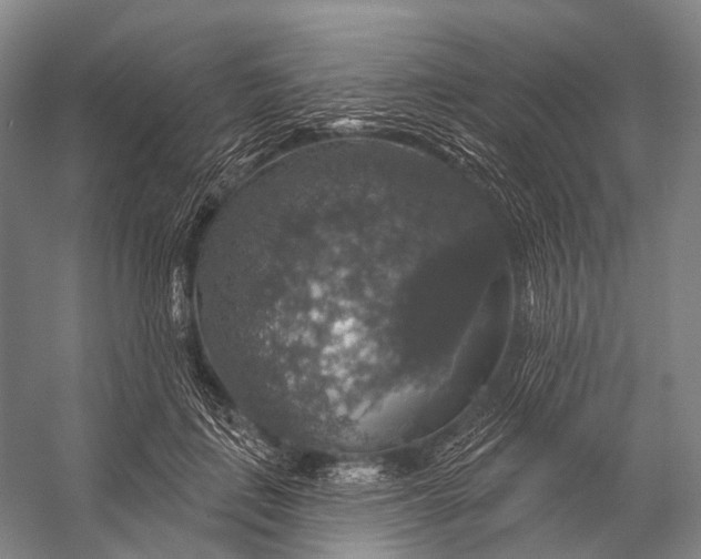 X0000056330651200509161710