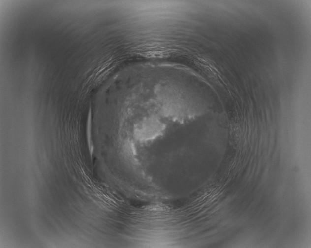 X0000056330652200509161710