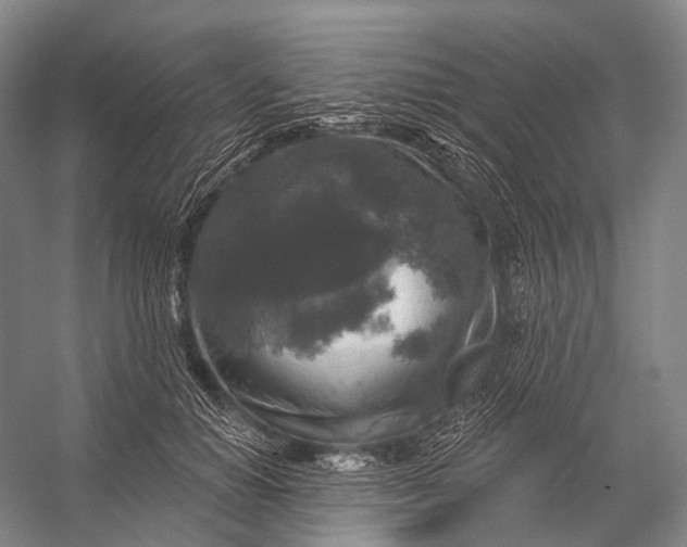 X0000056330654200509161711