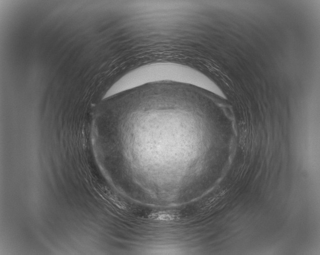 X0000056330655200509161711