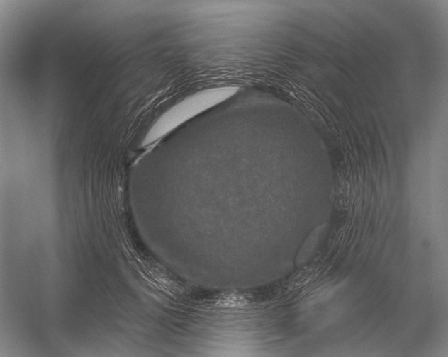 X0000056330656200509161711