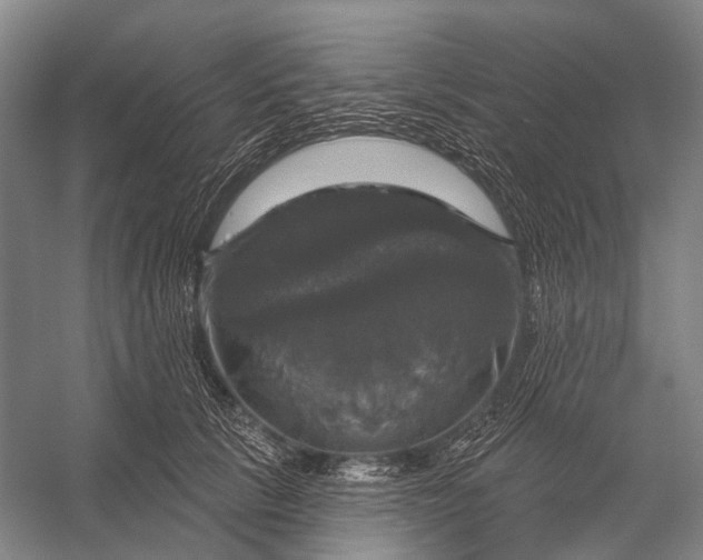 X0000056330657200509161711