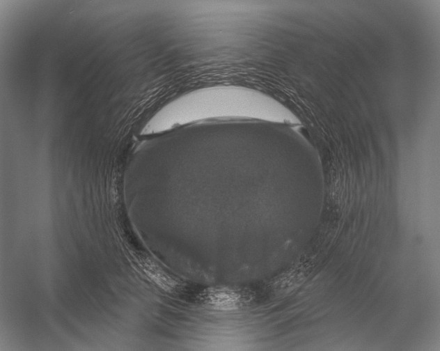 X0000056330658200509161711