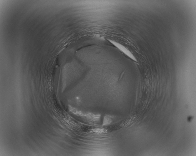 X0000056330659200509161711