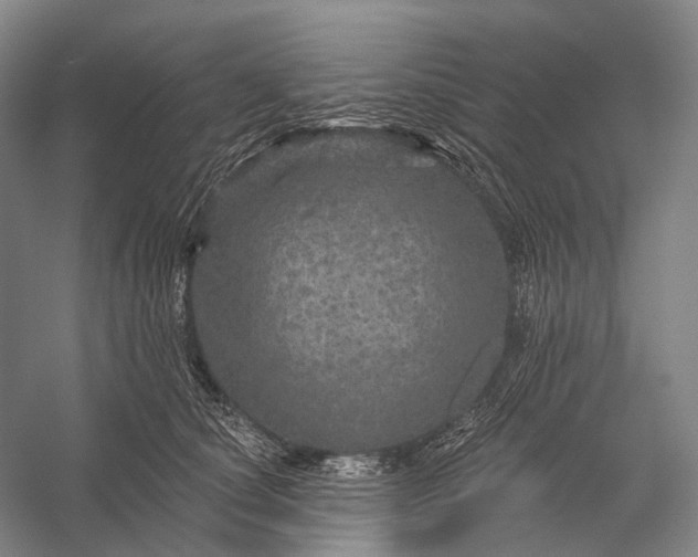 X0000056330660200509161711