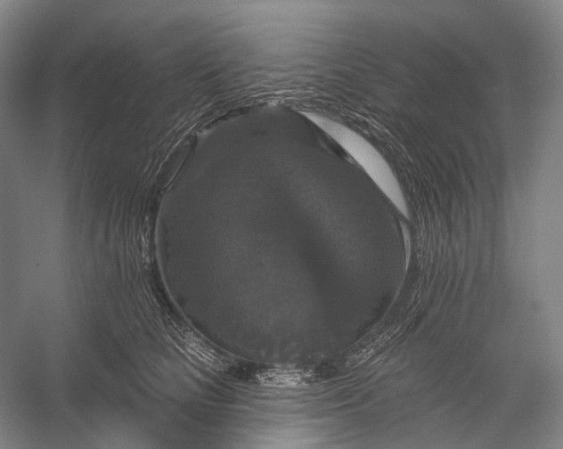 X0000056330661200509161711