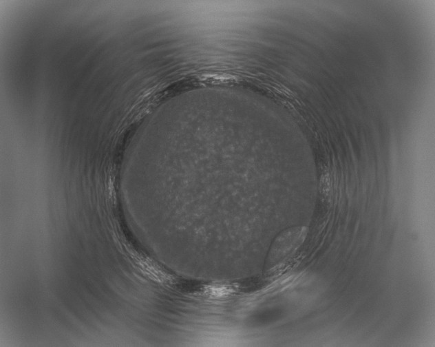 X0000056330662200509161711