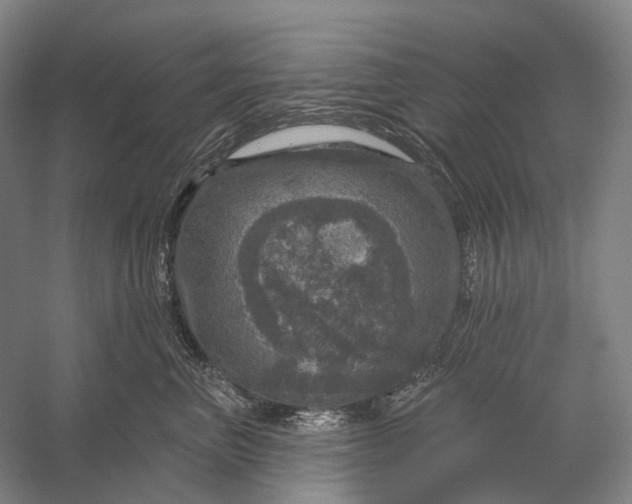 X0000056330667200509161711