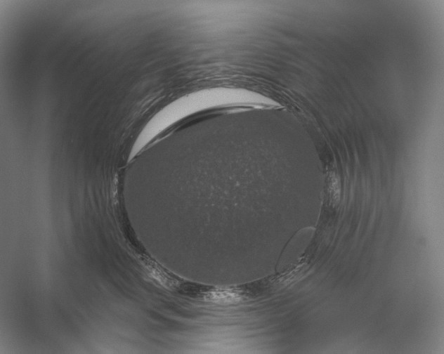 X0000056330668200509161711