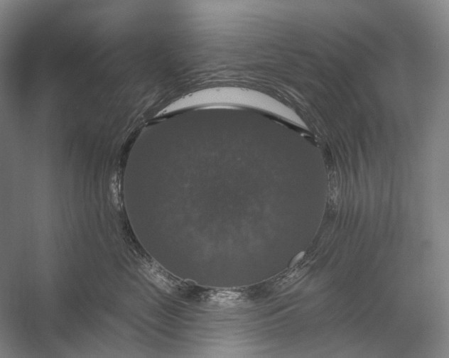 X0000056330669200509161711