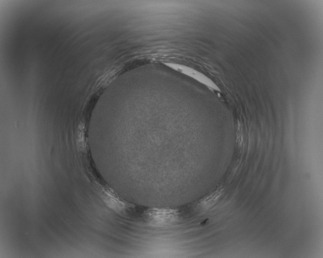 X0000056330670200509161711