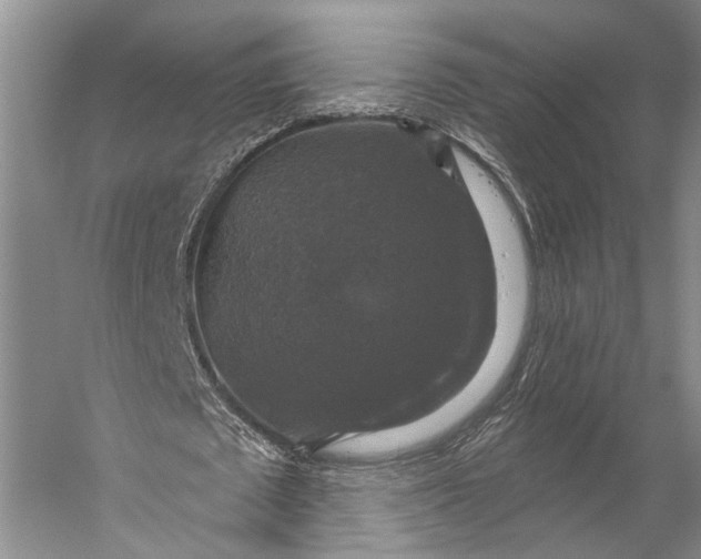 X0000056330673200509161710