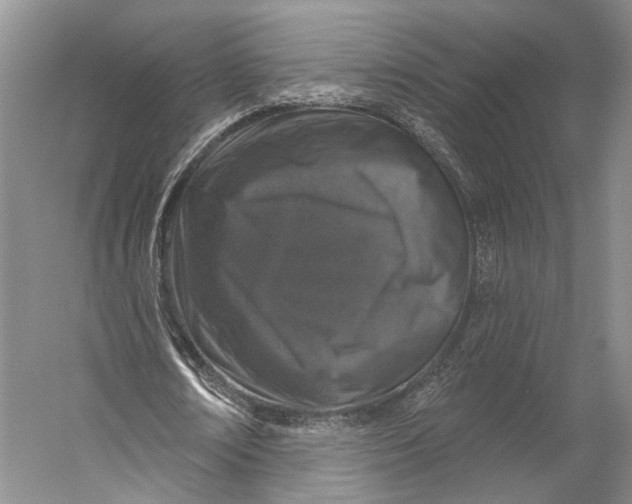 X0000056330674200509161710