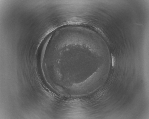 X0000056330675200509161710