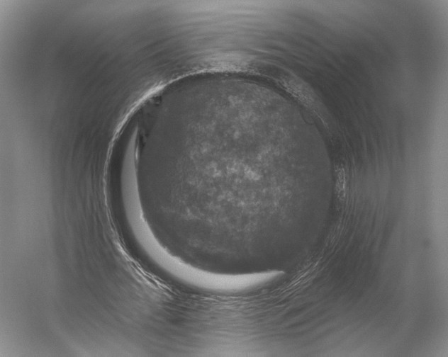 X0000056330676200509161710