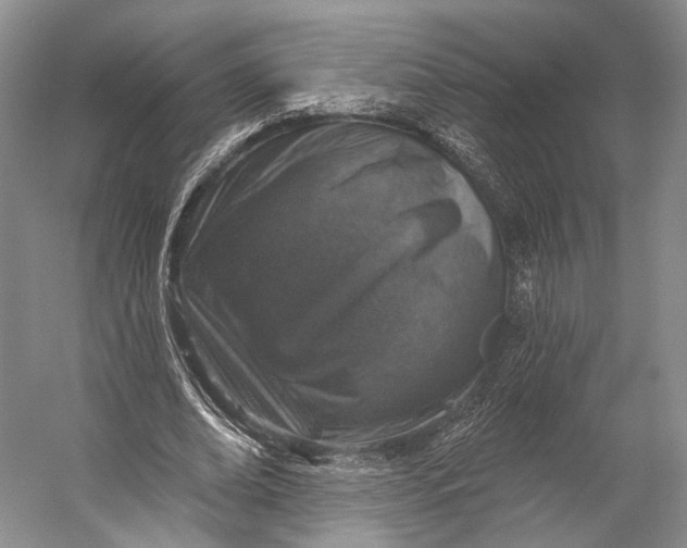 X0000056330678200509161710