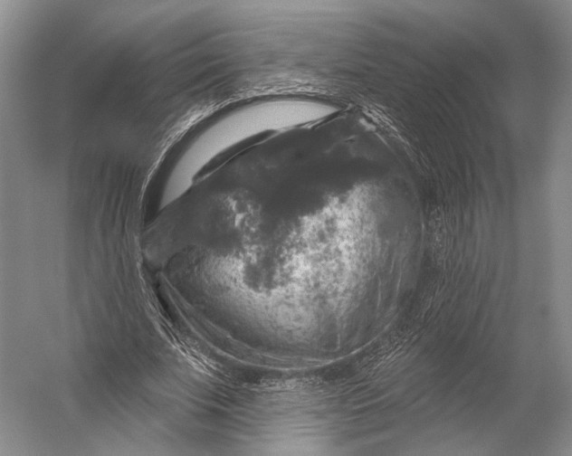 X0000056330679200509161710