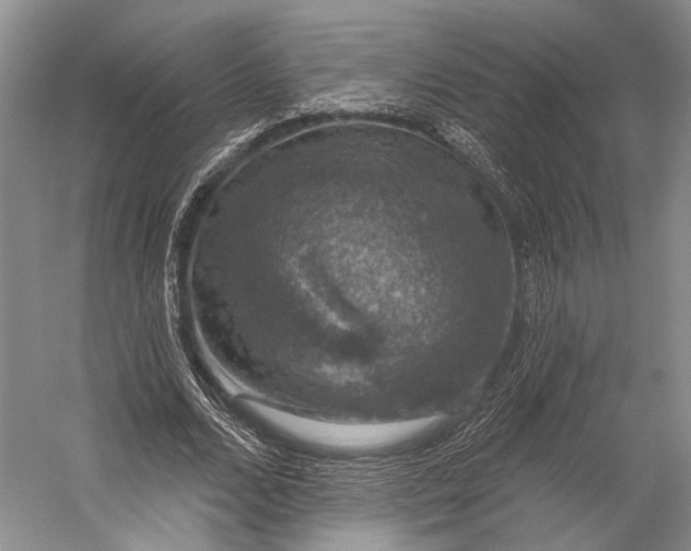 X0000056330680200509161710