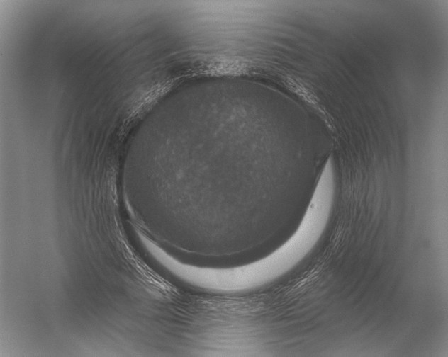 X0000056330681200509161710