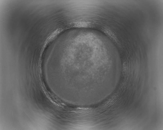 X0000056330682200509161710