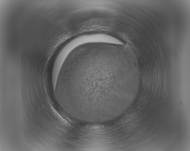 X0000056330683200509161710