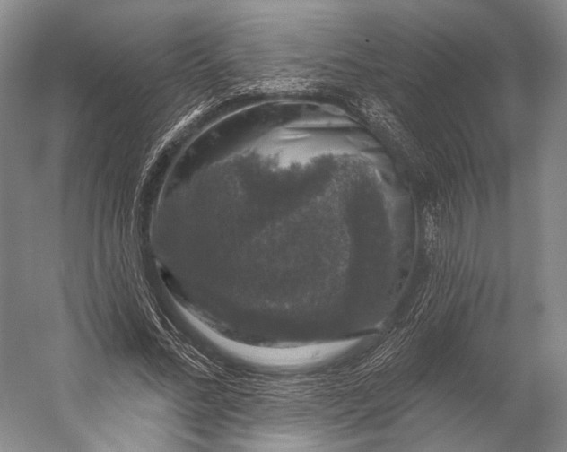 X0000056330684200509161710