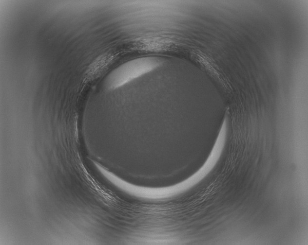 X0000056330685200509161710