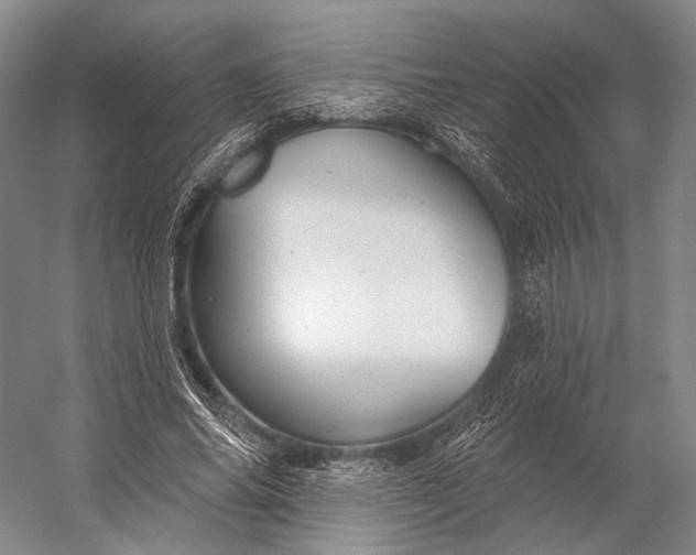 X0000056330686200509161710