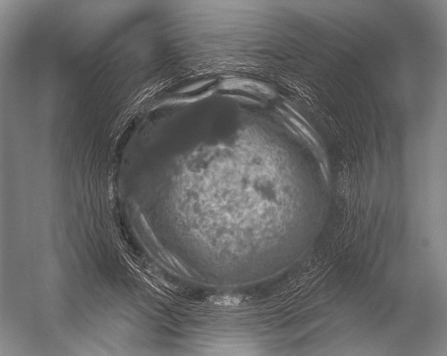 X0000056330687200509161710