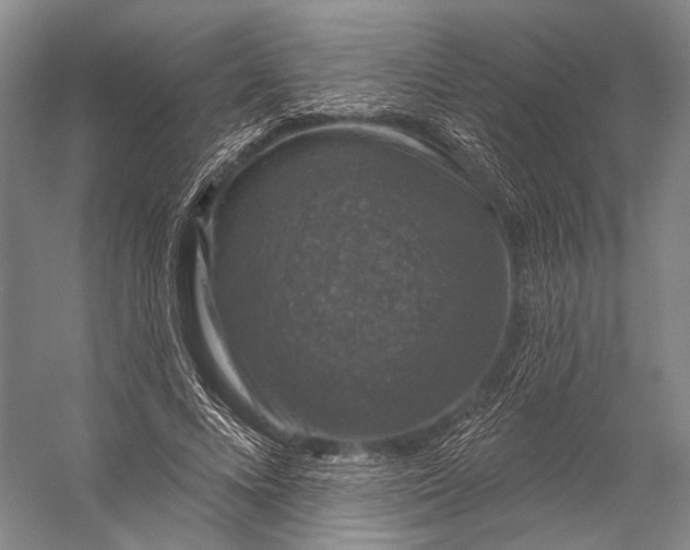 X0000056330688200509161710