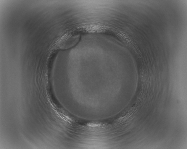 X0000056330690200509161710