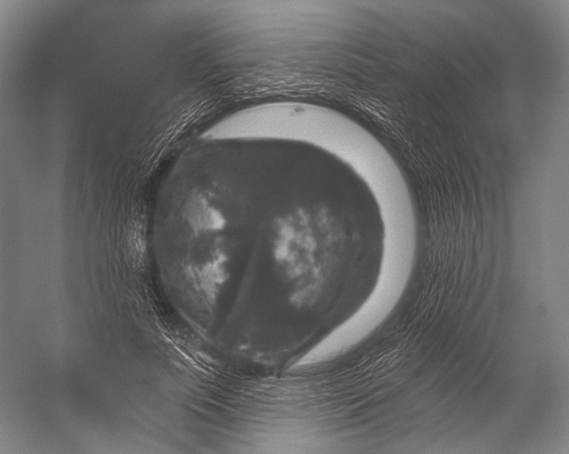 X0000056330691200509161710