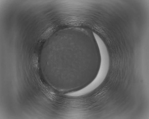 X0000056330693200509161710