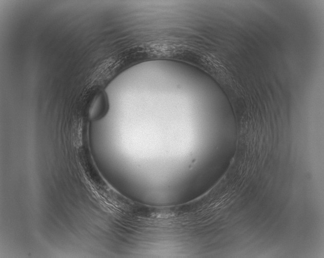 X0000056330694200509161710