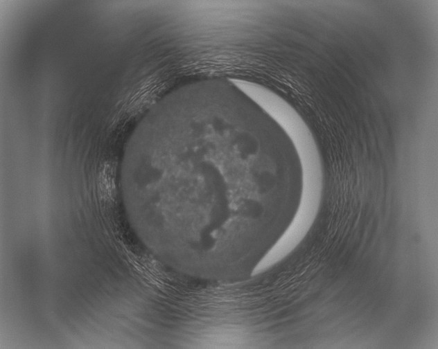 X0000056330695200509161710