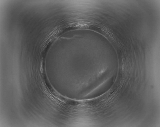 X0000056330696200509161710