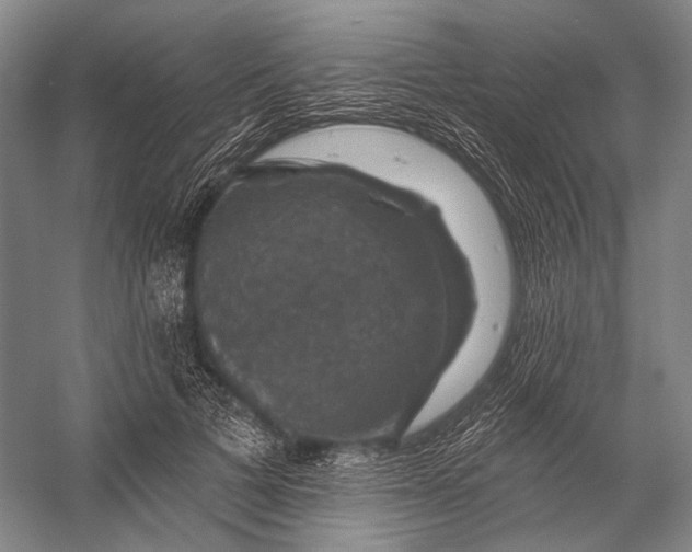 X0000056330697200509161710